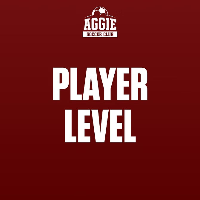 Player Level